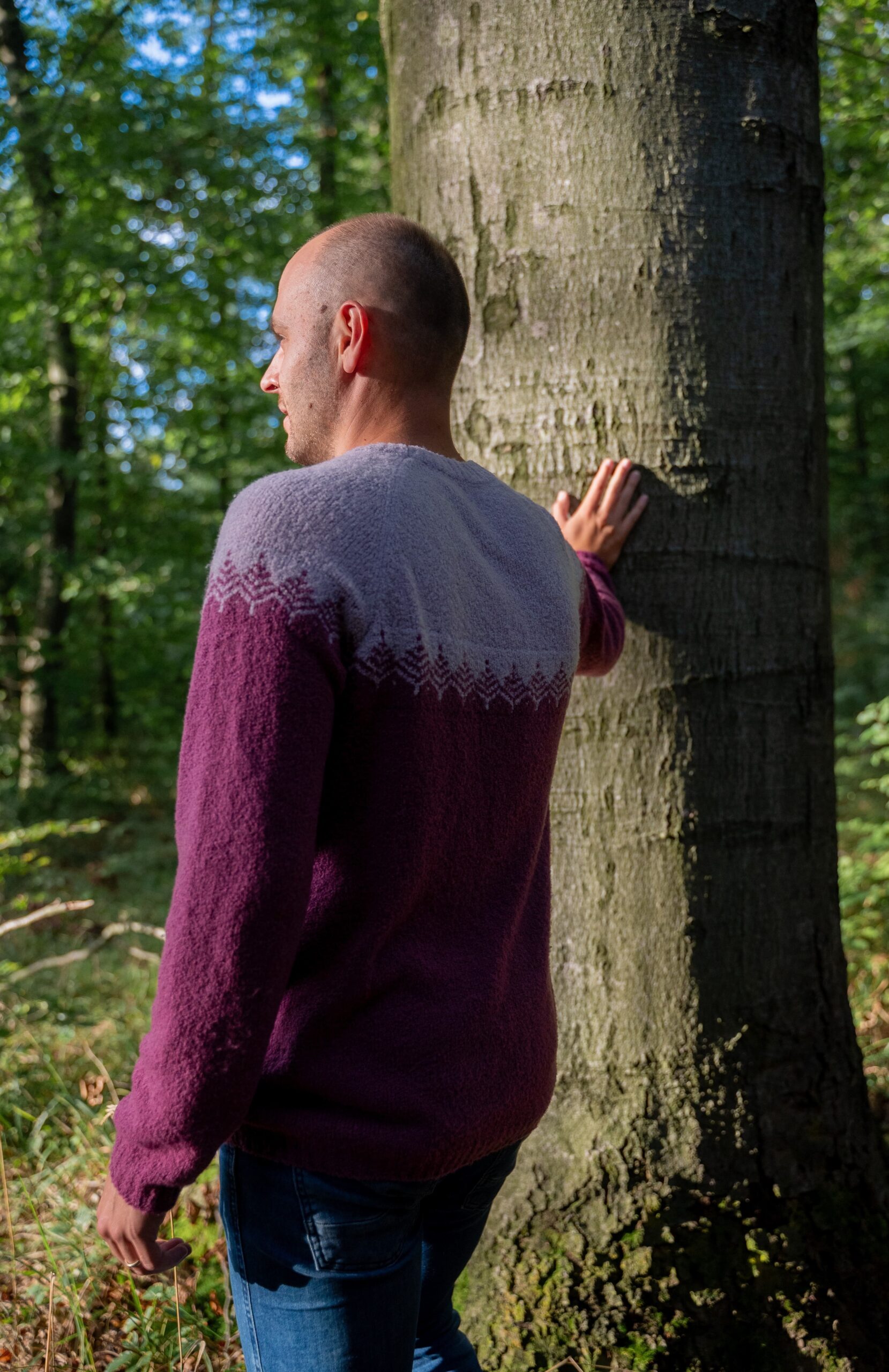 Merino svetr Pullover - Hike - Obrázek 5